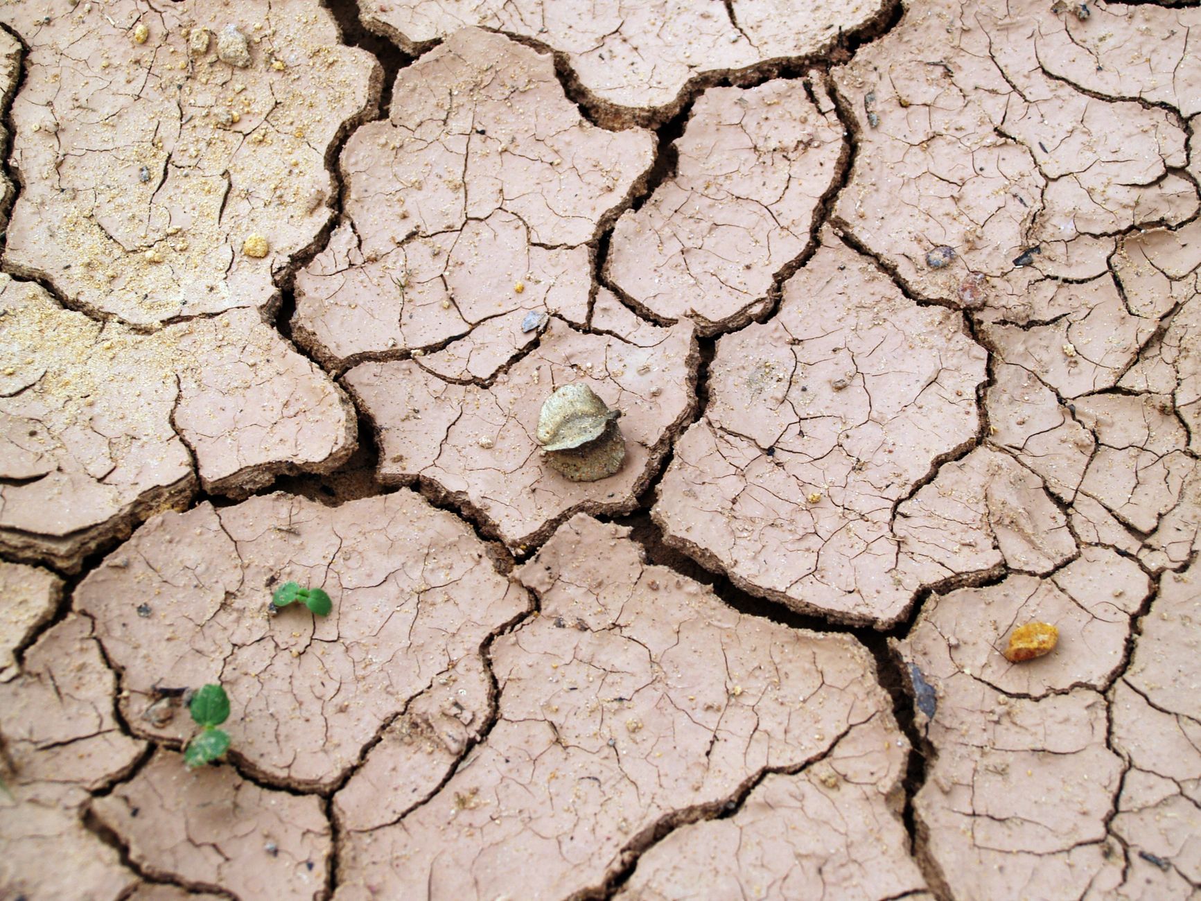 Efectele schimbărilor climatice asupra mediului și a vieții noastre