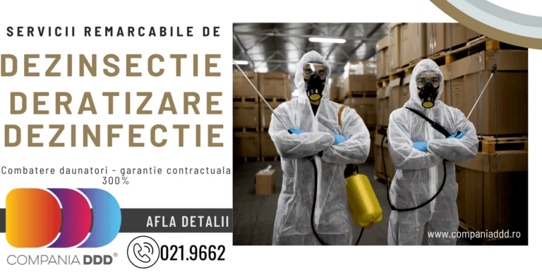 Importanta Serviciilor de Deratizare in Industria HoReCa