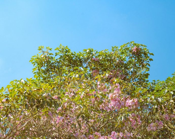 Photo Eficiență operațională: Identifică și implementează metode și tehnologii care să îmbunătățească eficiența operațională a afacerii tale și să optimizeze costurile.