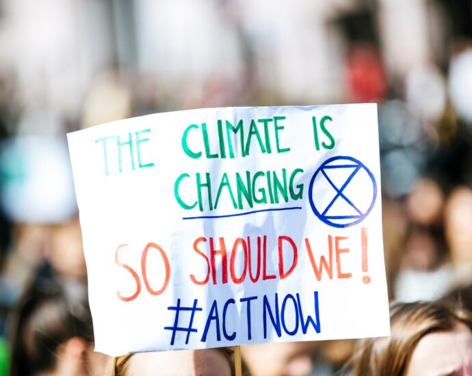 Photo Change management plan: Flowchart