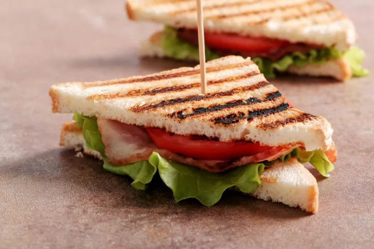 4 criterii de selecție pentru alegerea celui mai bun aparat de sandwich