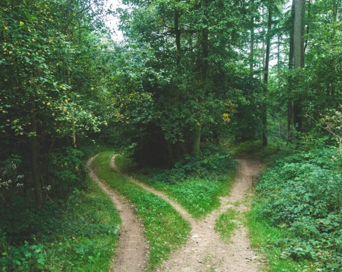 Photo Decision-making flowchart