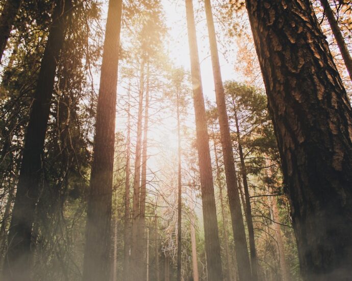 Photo Engaging visuals