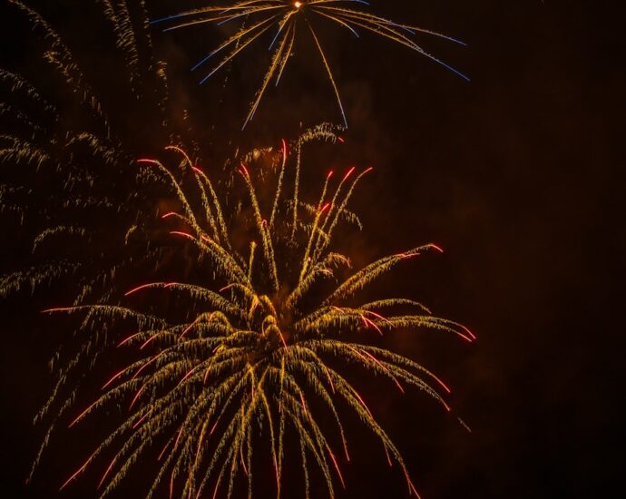 Photo Festive Display