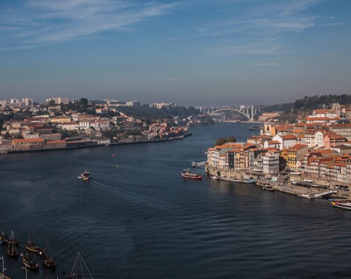 Photo Pet transportation