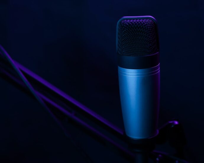 Photo Voiceover artist