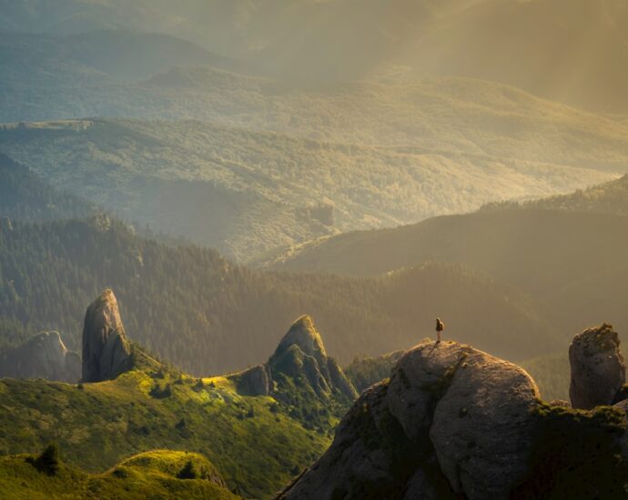 Photo business during crisis