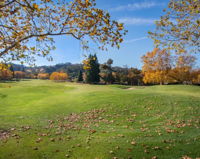 Photo business during crisis