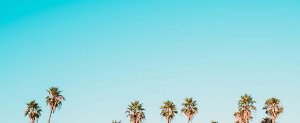 Photo control expenses