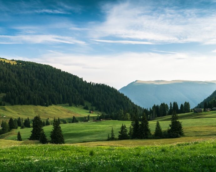 Photo optimize internal processes