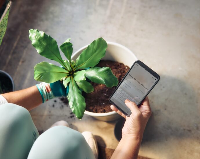 Photo artificial intelligence