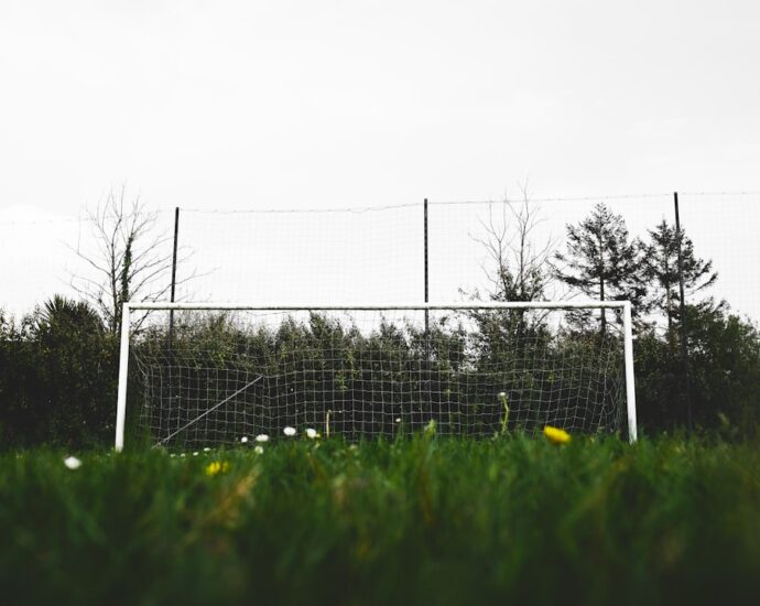 Photo realistic goals