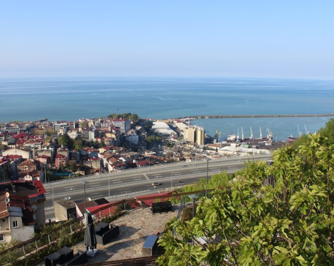 Photo finanțele firmei