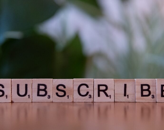 Photo subscription-based business