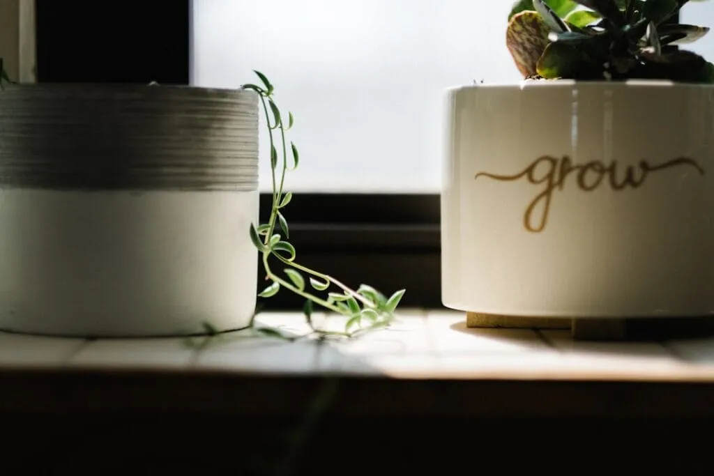 Photo grow your business